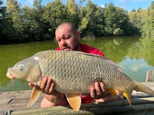 Common Carp