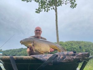 Mirror Carp