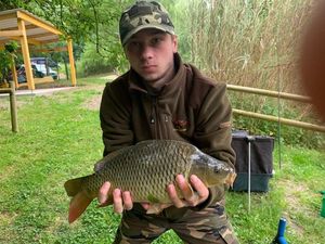 Common Carp