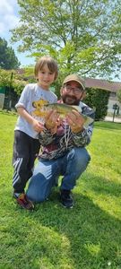Largemouth Bass