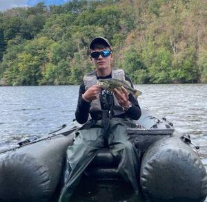 Largemouth Bass