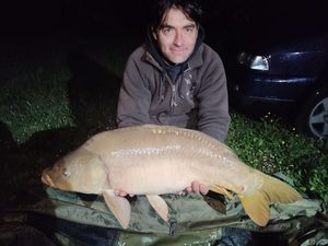 Mirror Carp