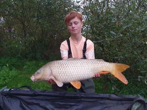 Common Carp