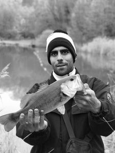 Largemouth Bass