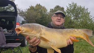 Mirror Carp