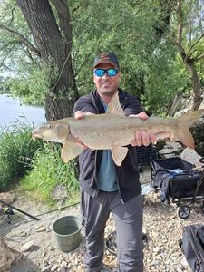 Barbel