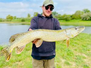 Northern Pike