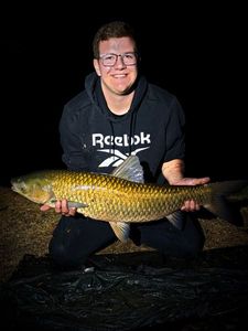 Grass Carp