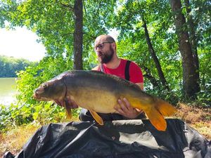 Mirror Carp