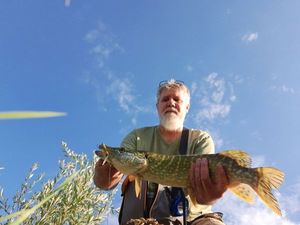 Northern Pike