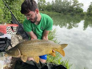 Common Carp