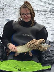 Northern Pike