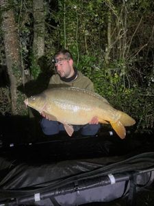 Mirror Carp