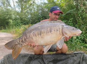Mirror Carp