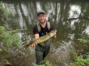 Northern Pike