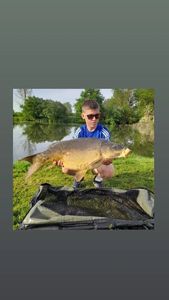 Common Carp