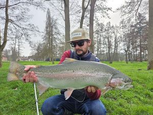 Rainbow Trout