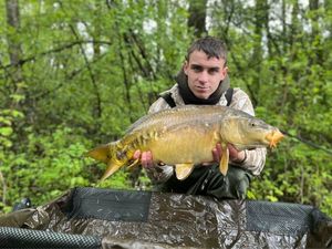 Mirror Carp