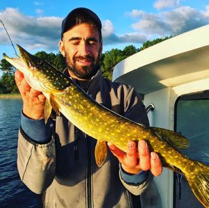 Northern Pike
