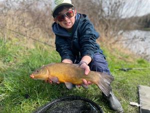 Tench
