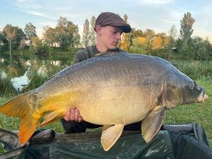 Mirror Carp