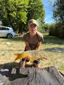 Mirror Carp