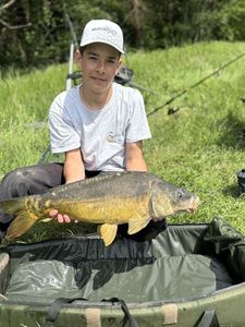 Mirror Carp