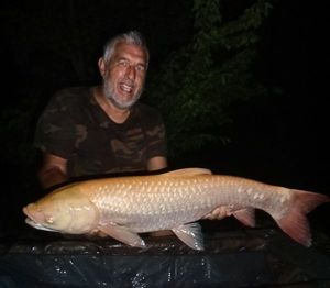 Grass Carp