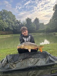 Mirror Carp