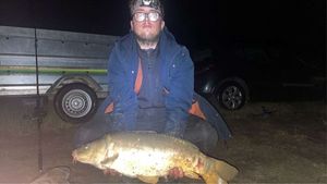 Mirror Carp