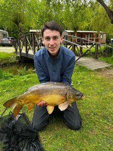 Mirror Carp