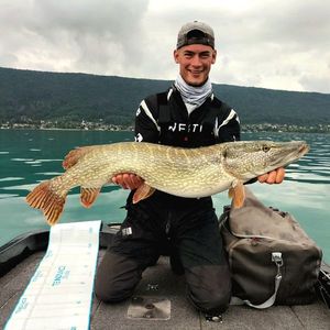 Northern Pike