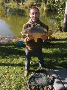 Mirror Carp
