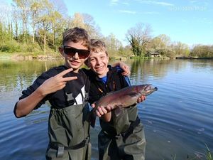 Rainbow Trout