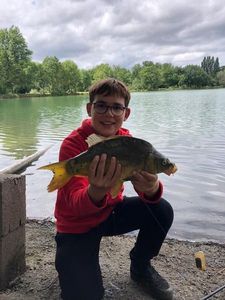Mirror Carp
