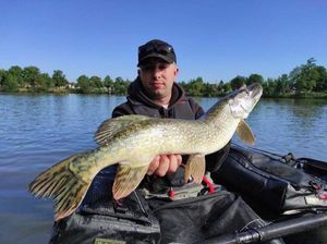 Northern Pike