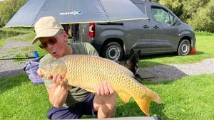 Common Carp