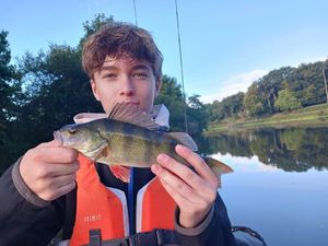 European Perch