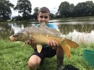 Mirror Carp