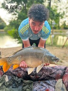 Leather Carp