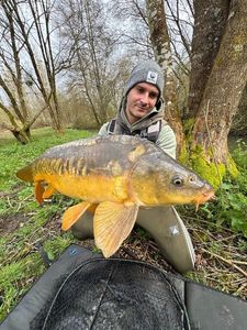 Mirror Carp