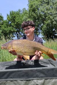 Common Carp