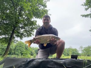 Mirror Carp