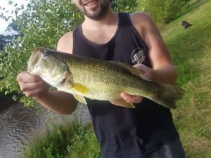 Largemouth Bass