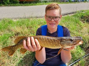 Northern Pike