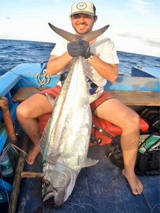 Dogtooth Tuna