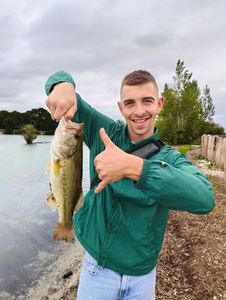 Largemouth Bass