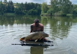 Common Carp