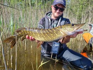 Northern Pike