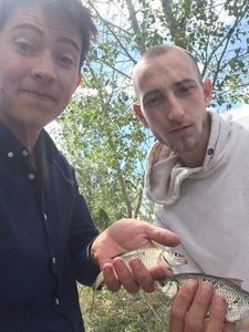 Roach